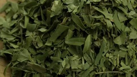 تصویر 1 از خرید سبزی ترخون خشک + بهترین قیمت